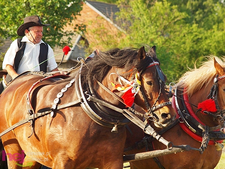 V Parada Konna w Żarówce - konkurs w powożeniu