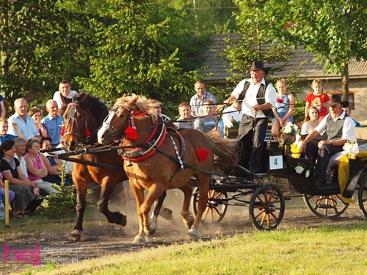 V Parada Konna w Żarówce - konkurs w powożeniu
