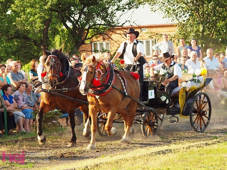 V Parada Konna w Żarówce - konkurs w powożeniu