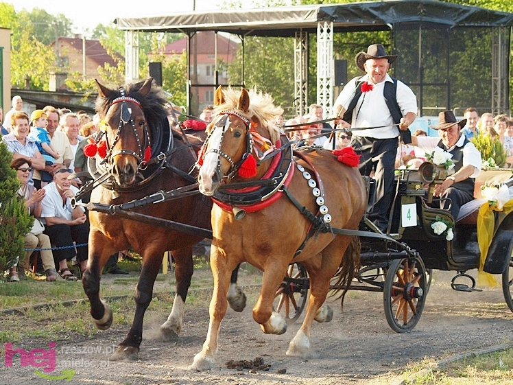 V Parada Konna w Żarówce - konkurs w powożeniu