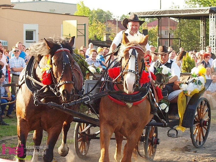 V Parada Konna w Żarówce - konkurs w powożeniu