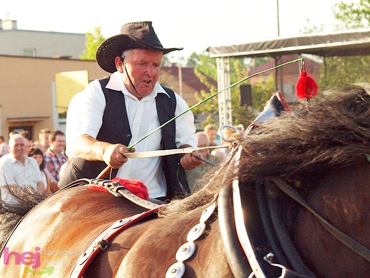 V Parada Konna w Żarówce - konkurs w powożeniu