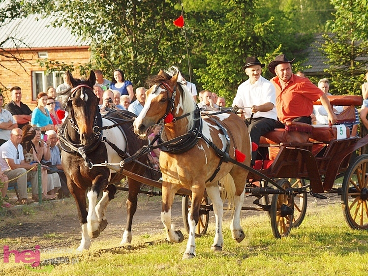 V Parada Konna w Żarówce - konkurs w powożeniu
