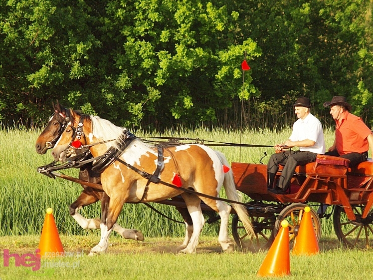 V Parada Konna w Żarówce - konkurs w powożeniu