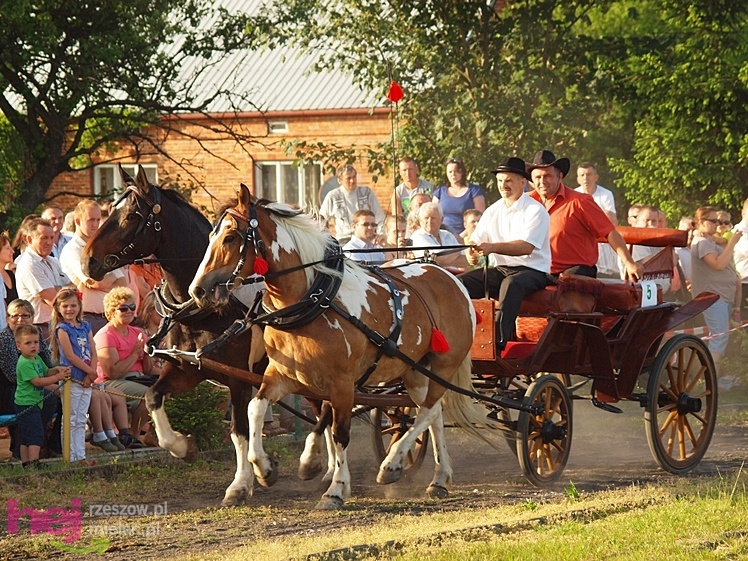 V Parada Konna w Żarówce - konkurs w powożeniu