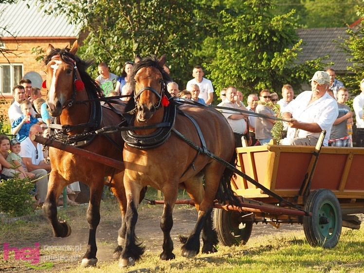 V Parada Konna w Żarówce - konkurs w powożeniu