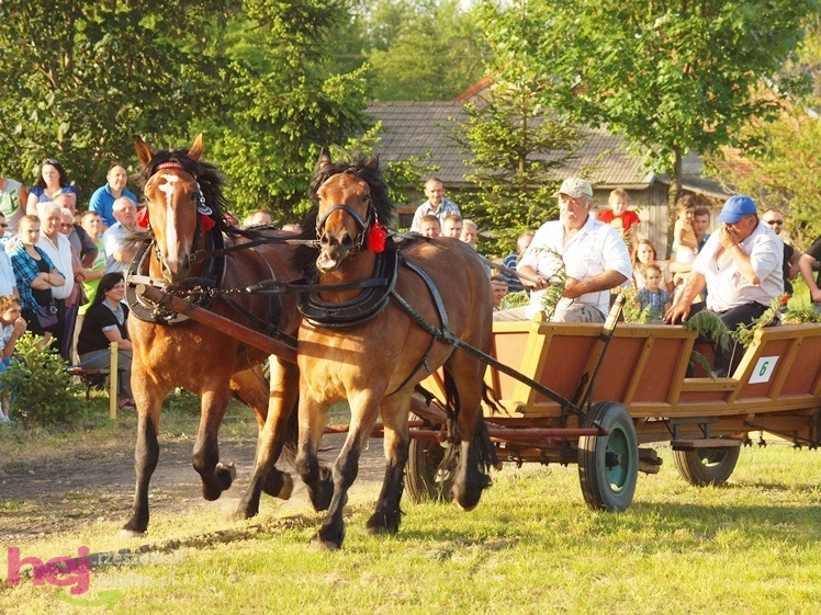 V Parada Konna w Żarówce - konkurs w powożeniu
