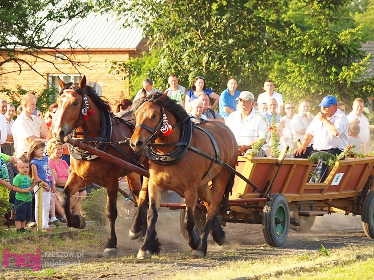 V Parada Konna w Żarówce - konkurs w powożeniu