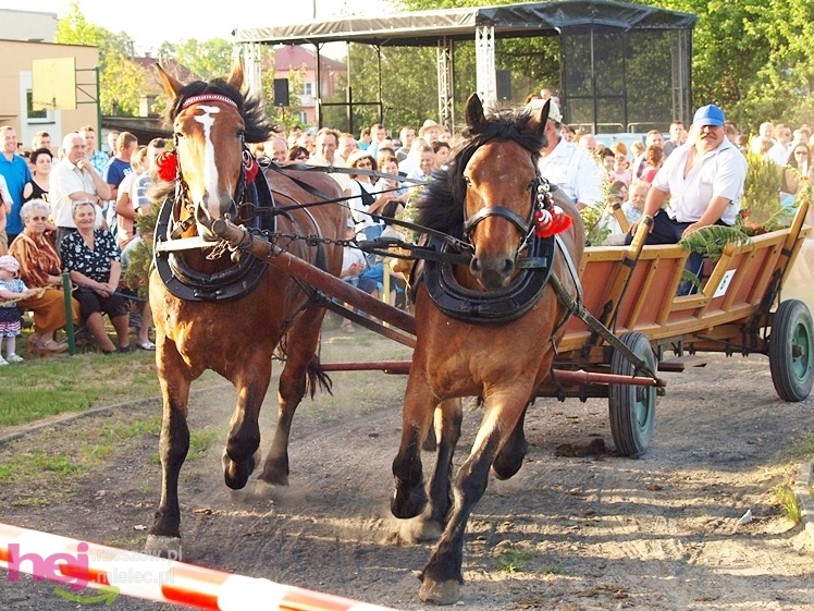 V Parada Konna w Żarówce - konkurs w powożeniu