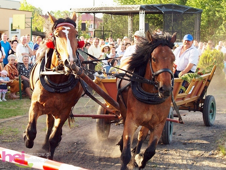 V Parada Konna w Żarówce - konkurs w powożeniu
