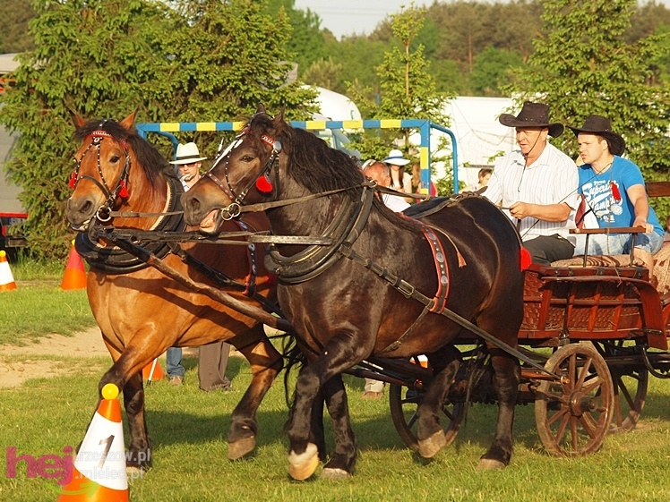 V Parada Konna w Żarówce - konkurs w powożeniu
