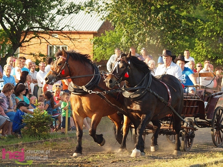 V Parada Konna w Żarówce - konkurs w powożeniu