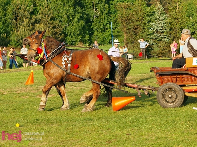 V Parada Konna w Żarówce - konkurs w powożeniu