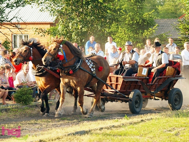 V Parada Konna w Żarówce - konkurs w powożeniu