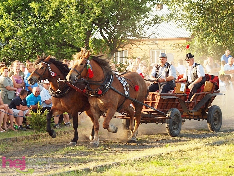 V Parada Konna w Żarówce - konkurs w powożeniu