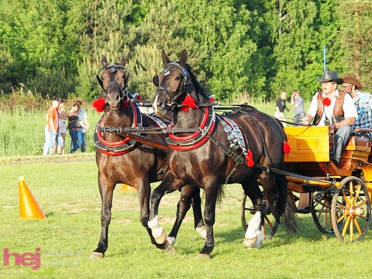 V Parada Konna w Żarówce - konkurs w powożeniu
