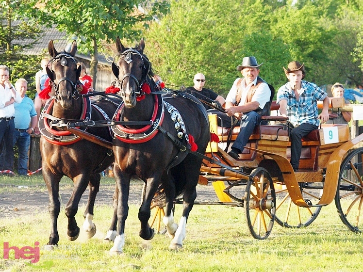 V Parada Konna w Żarówce - konkurs w powożeniu