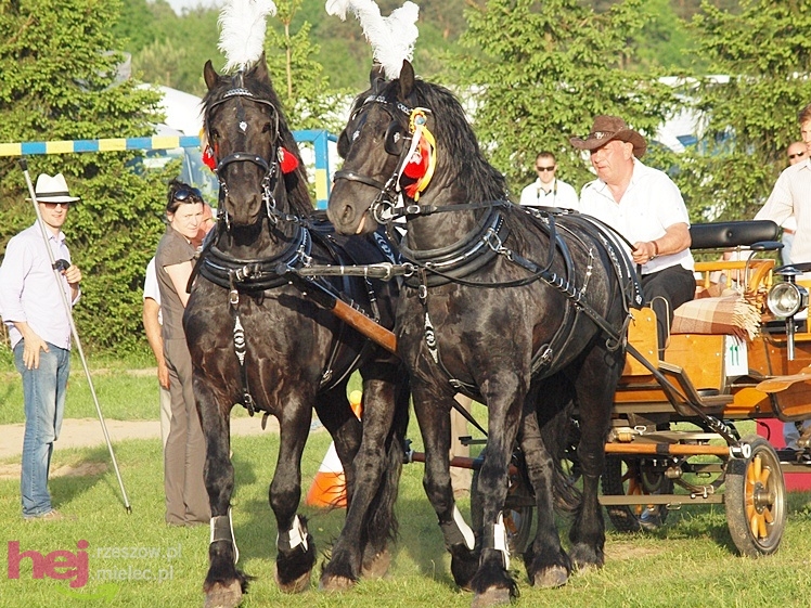 V Parada Konna w Żarówce - konkurs w powożeniu