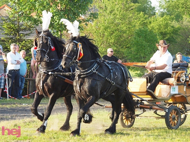V Parada Konna w Żarówce - konkurs w powożeniu