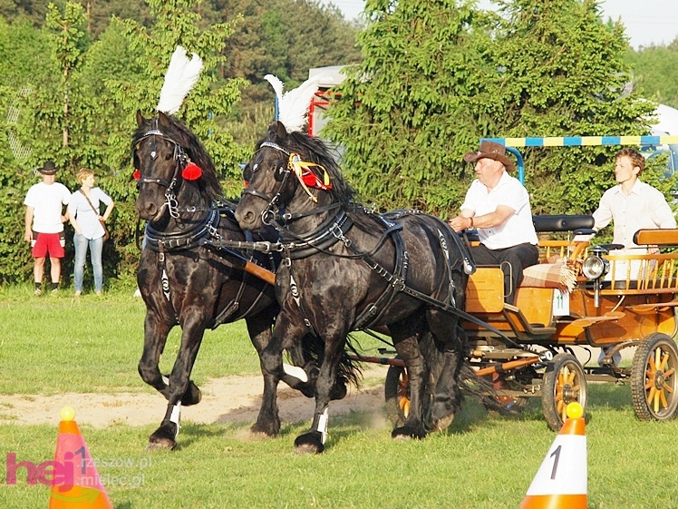 V Parada Konna w Żarówce - konkurs w powożeniu