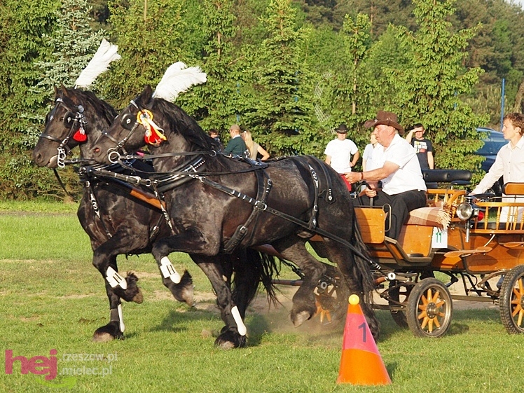 V Parada Konna w Żarówce - konkurs w powożeniu