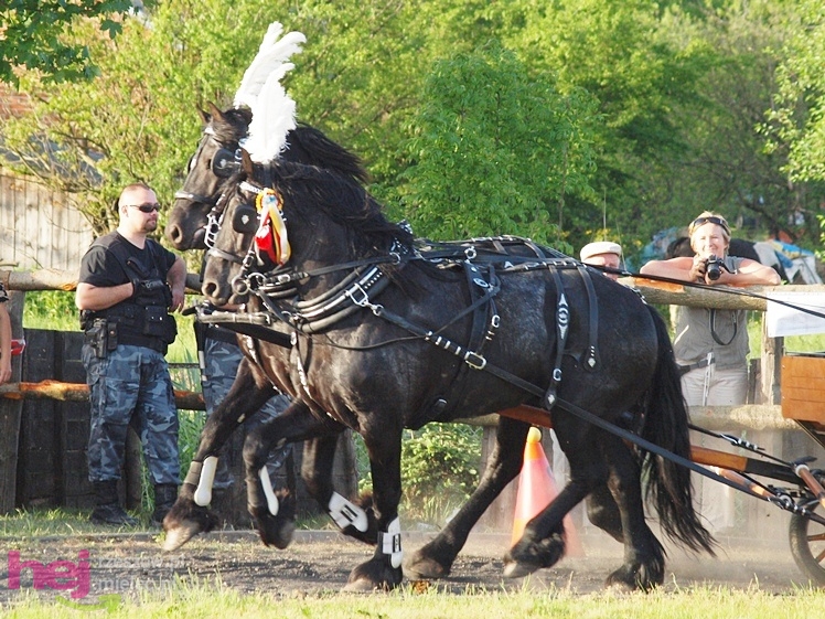 V Parada Konna w Żarówce - konkurs w powożeniu