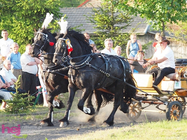 V Parada Konna w Żarówce - konkurs w powożeniu