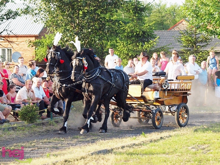 V Parada Konna w Żarówce - konkurs w powożeniu