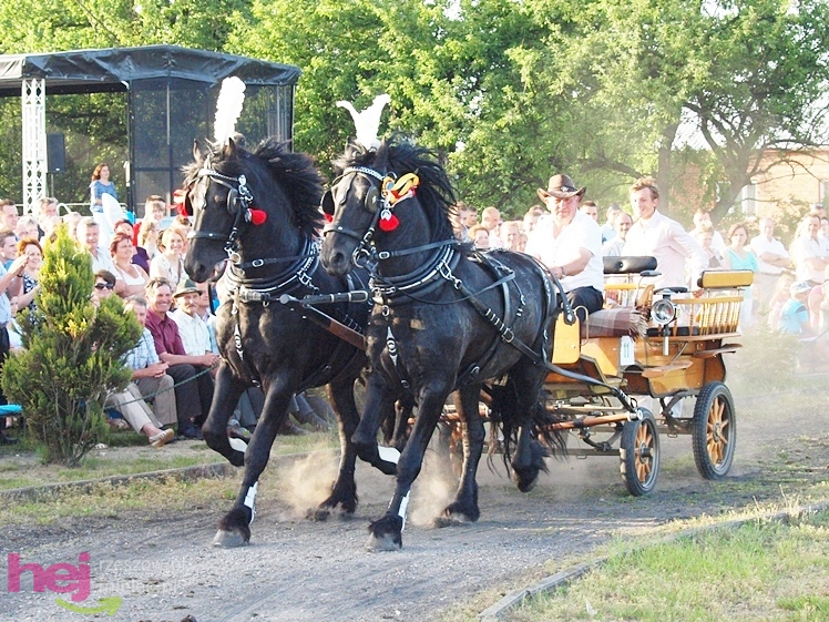 V Parada Konna w Żarówce - konkurs w powożeniu