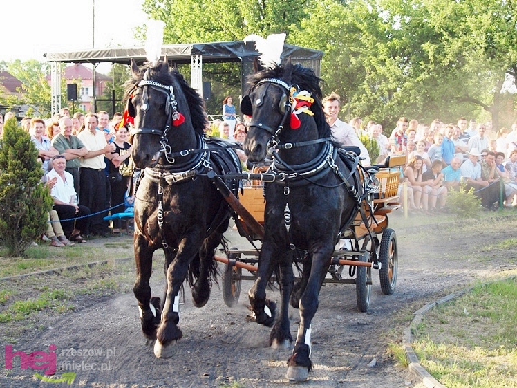 V Parada Konna w Żarówce - konkurs w powożeniu