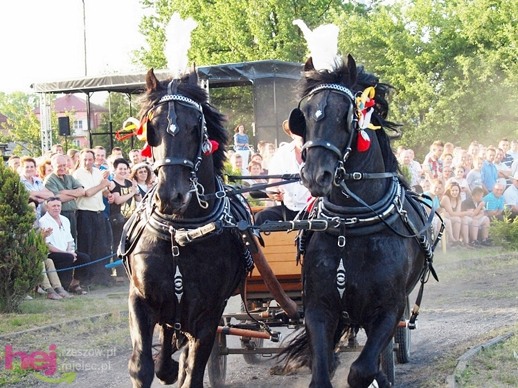 V Parada Konna w Żarówce - konkurs w powożeniu