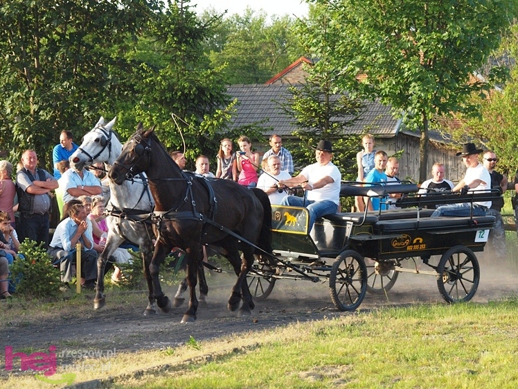 V Parada Konna w Żarówce - konkurs w powożeniu