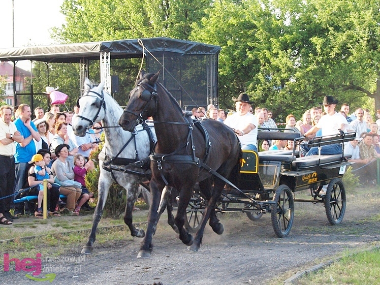 V Parada Konna w Żarówce - konkurs w powożeniu