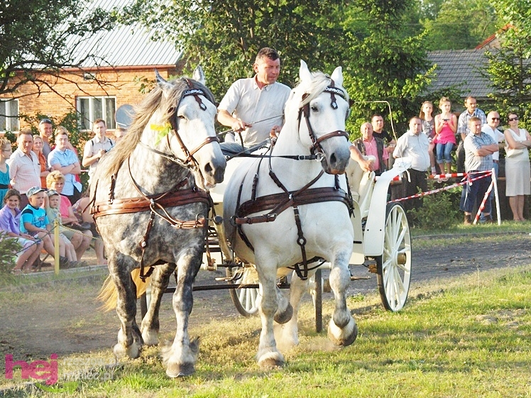 V Parada Konna w Żarówce - konkurs w powożeniu