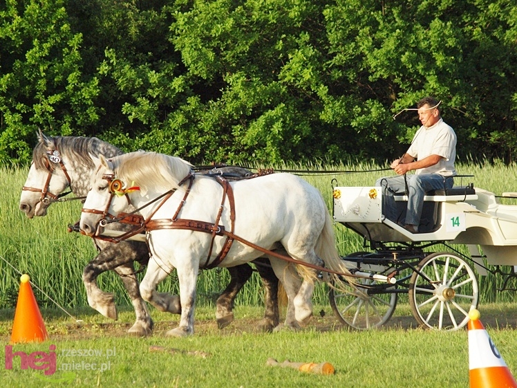 V Parada Konna w Żarówce - konkurs w powożeniu
