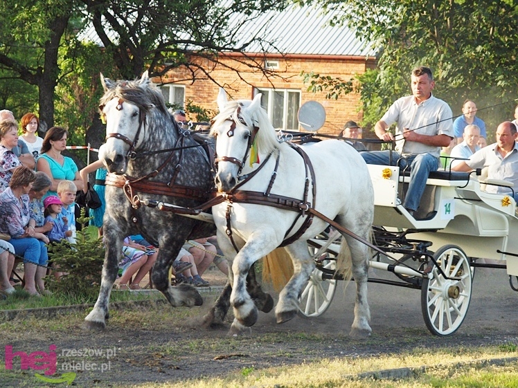 V Parada Konna w Żarówce - konkurs w powożeniu