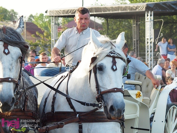 V Parada Konna w Żarówce - konkurs w powożeniu
