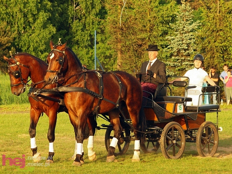 V Parada Konna w Żarówce - konkurs w powożeniu