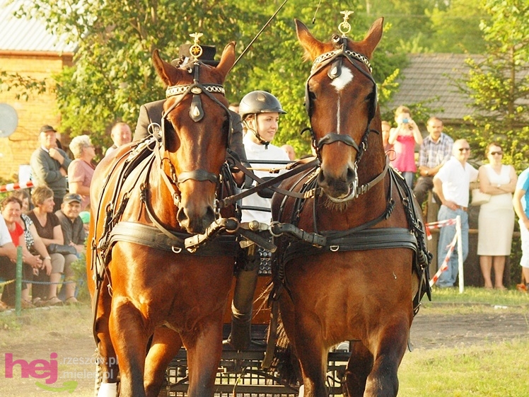 V Parada Konna w Żarówce - konkurs w powożeniu