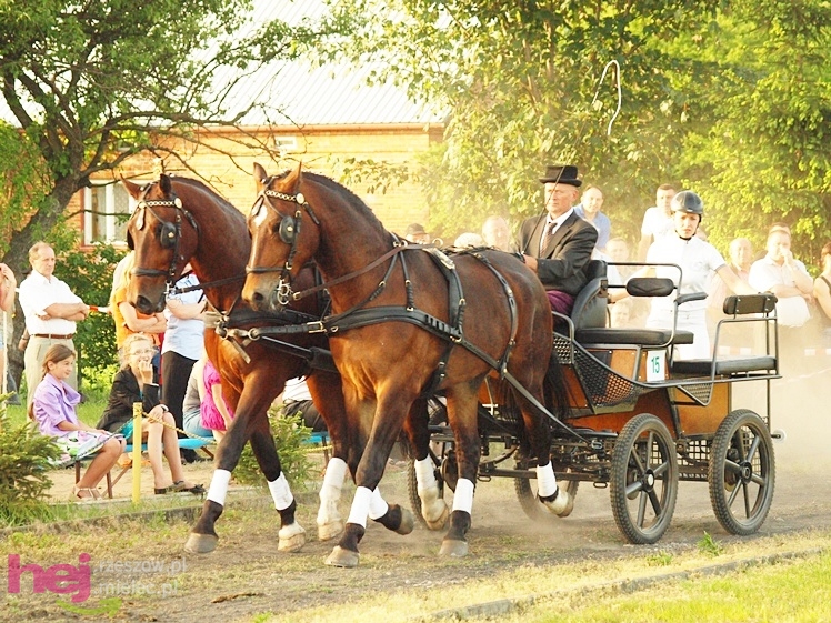 V Parada Konna w Żarówce - konkurs w powożeniu