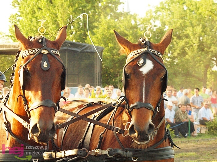 V Parada Konna w Żarówce - konkurs w powożeniu