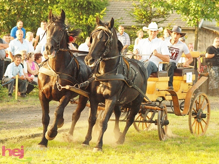 V Parada Konna w Żarówce - konkurs w powożeniu