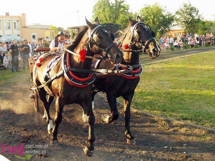 V Parada Konna w Żarówce - konkurs w powożeniu