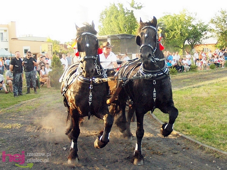 V Parada Konna w Żarówce - konkurs w powożeniu