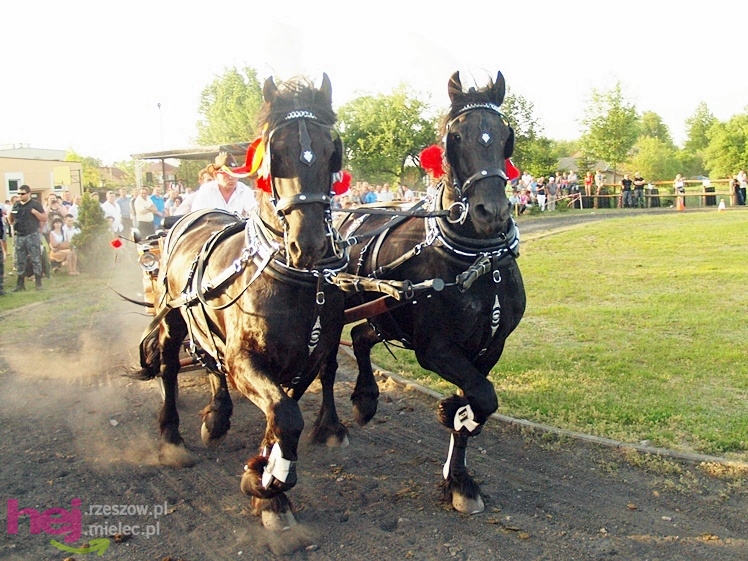 V Parada Konna w Żarówce - konkurs w powożeniu