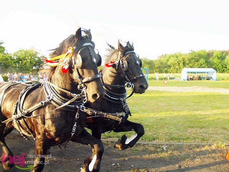 V Parada Konna w Żarówce - konkurs w powożeniu