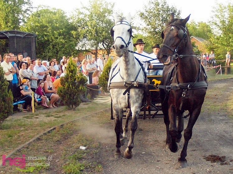 V Parada Konna w Żarówce - konkurs w powożeniu