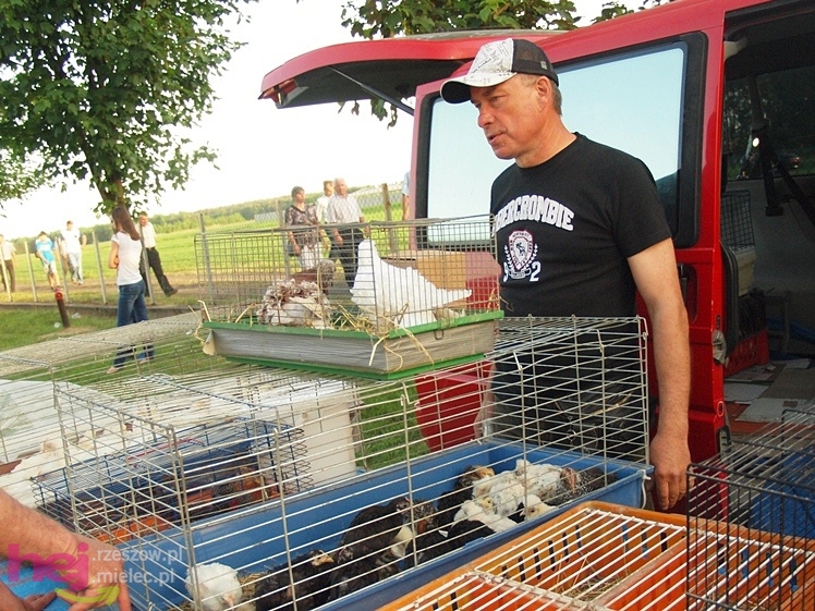 V Parada Konna w Żarówce - konkurs w powożeniu