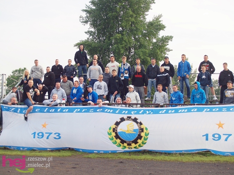 Kolejne ligowe zwycięstwo piłkarzy Stali Mielec