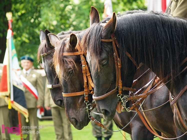 Uroczystość poświęcenia tablicy upamiętniającej osobę ppor. Józefa Burego w Zgórsku - część I